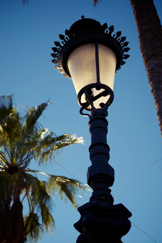 a street lamp against the blue sky with a palm tree behind