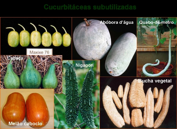 pictures of different fruits and vegetables are shown