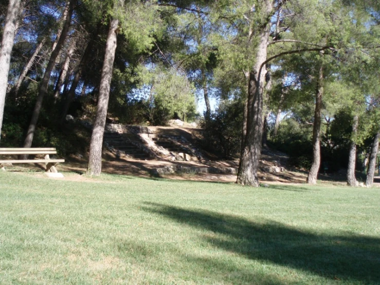 there are benches in the park on the grass