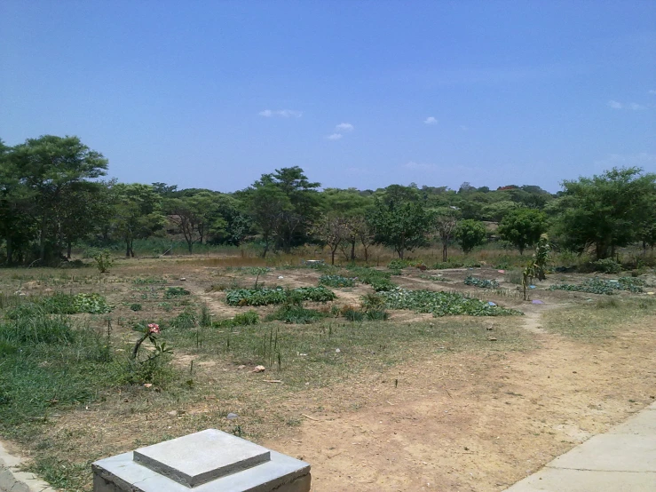 a square planter in front of a field with trees and bushes