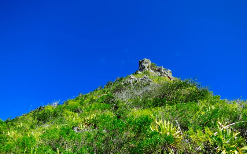 a mountain with trees on the side and a blue sky behind