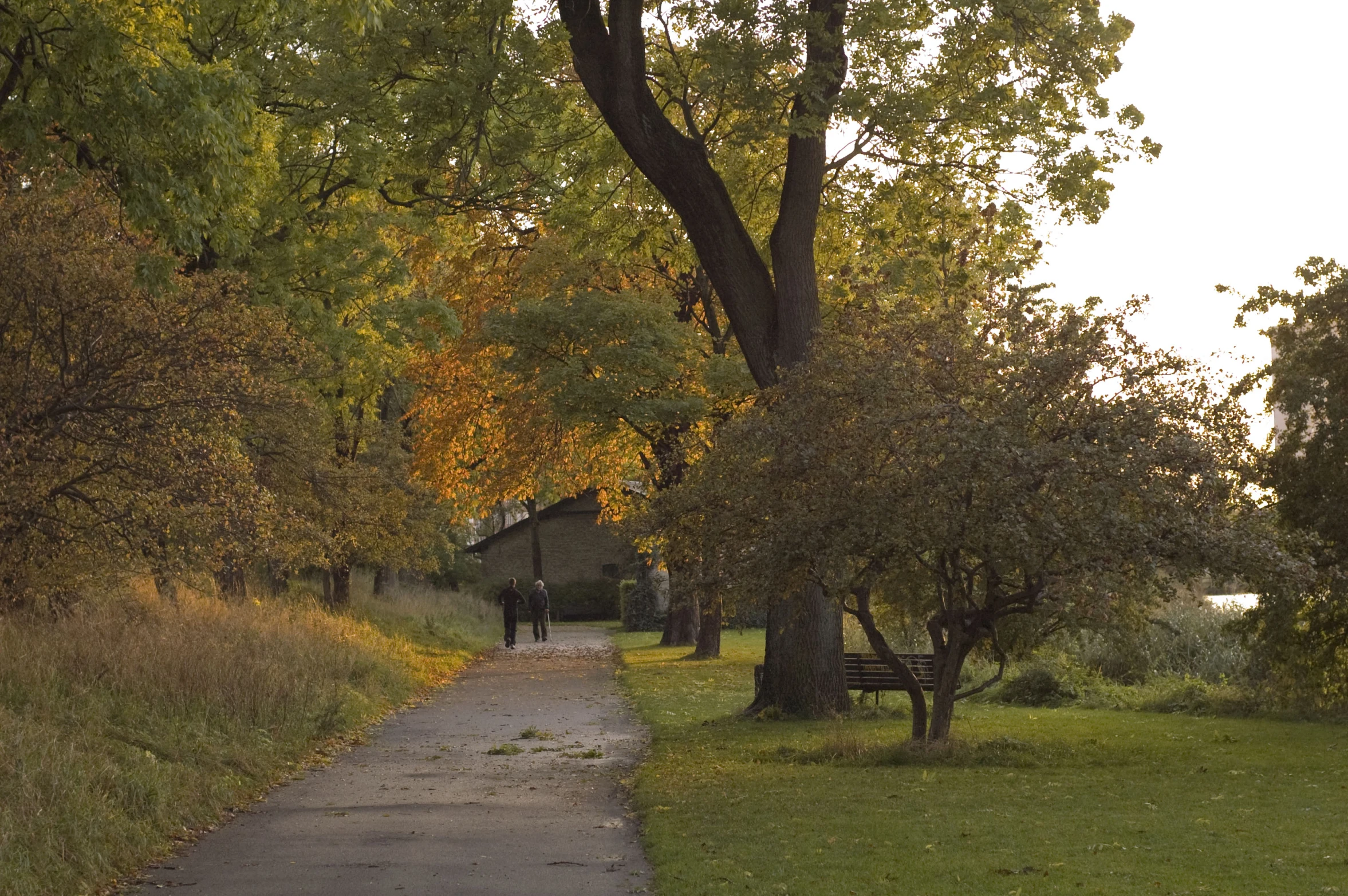 an empty park path with no people on it