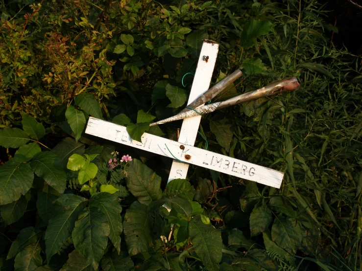 a street sign laying on top of grass