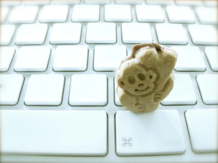 the tiny teddy bear has been put on the computer keyboard