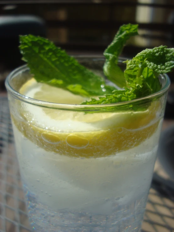 a glass with a yellow beverage, lemon and mint