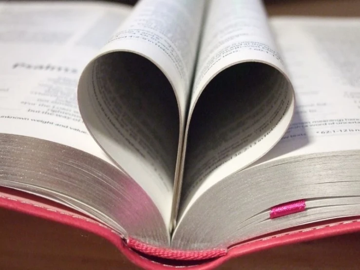 close up of book folded into two heart shapes