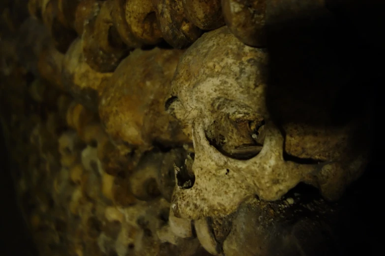 a skull in a stone cave with only one head visible