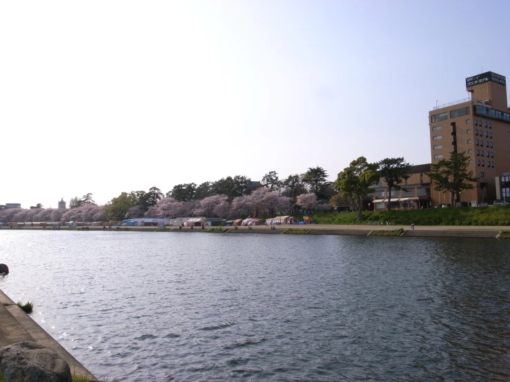 a man sits on the bank of the river looking down