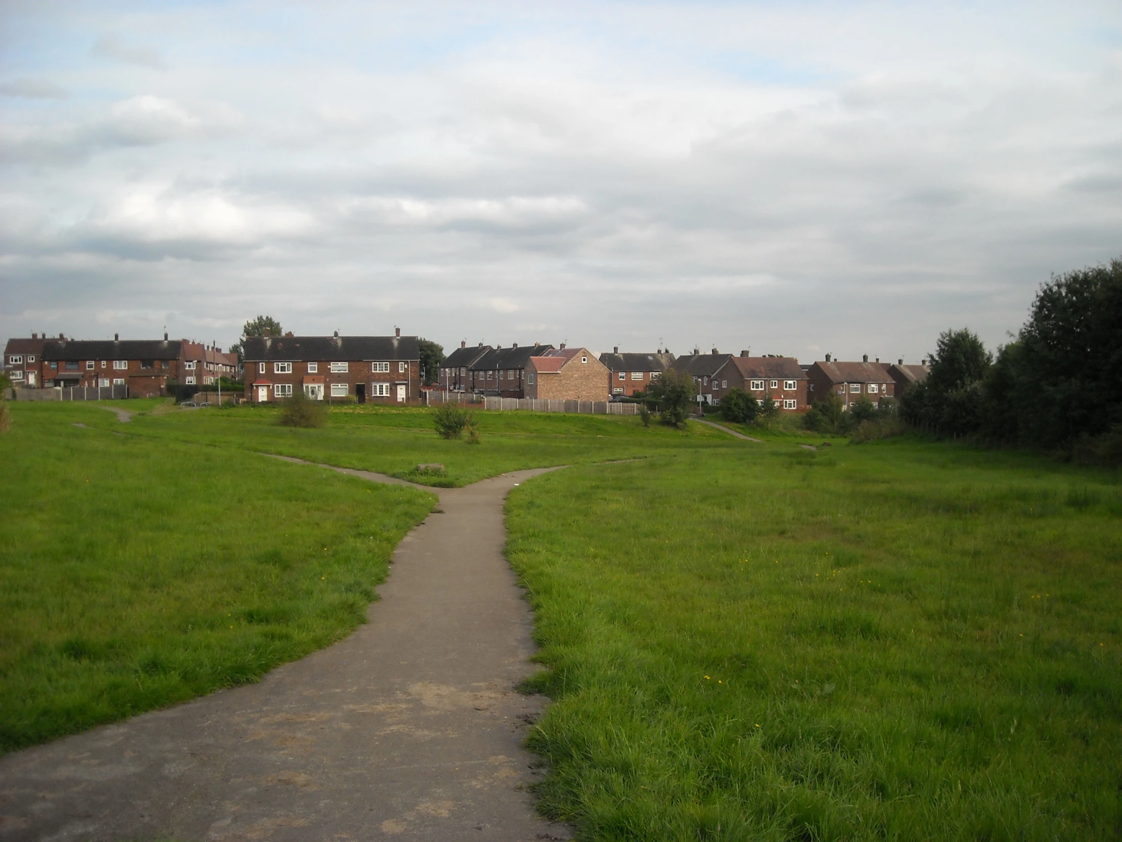 an empty path leads to the houses and green meadow