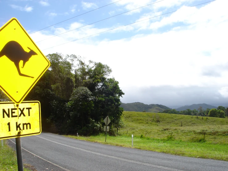 a kangaroo crossing sign at the side of a road