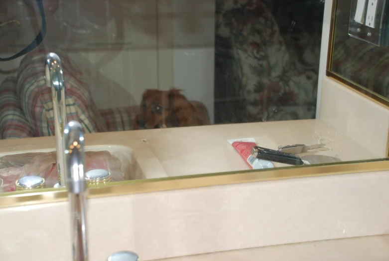 the reflection of a dog in a bathroom mirror