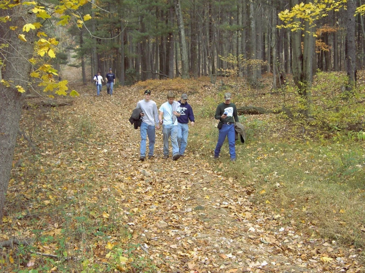 several people stand on leaves in the woods