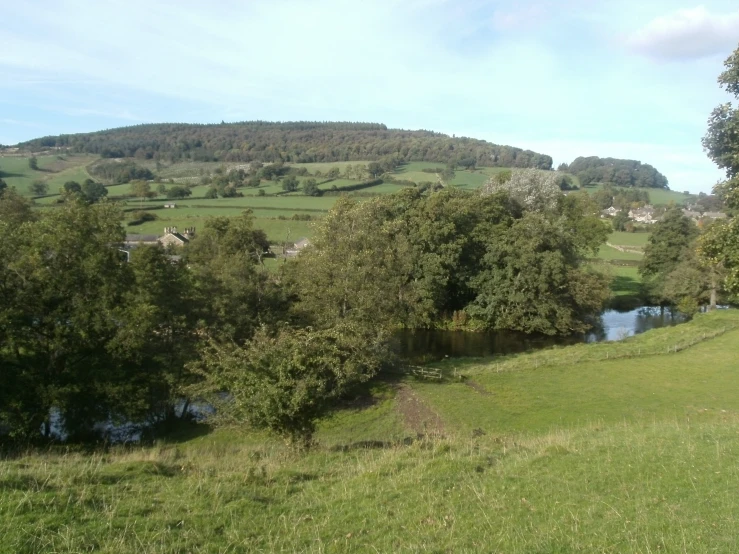 green pasture with water running beside it and lots of trees