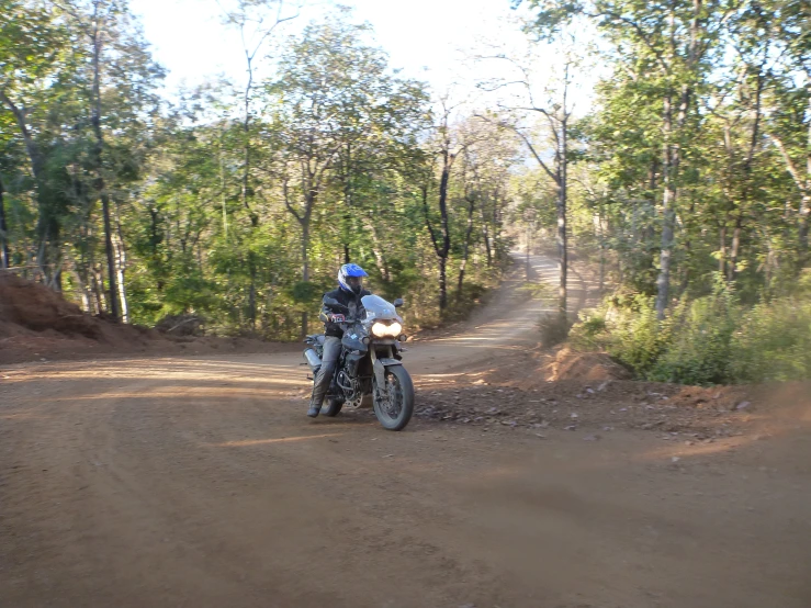 motorcyclist riding down dirt road in the forest