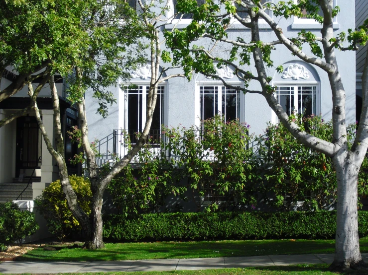 a beautiful house with many trees and bushes around the yard