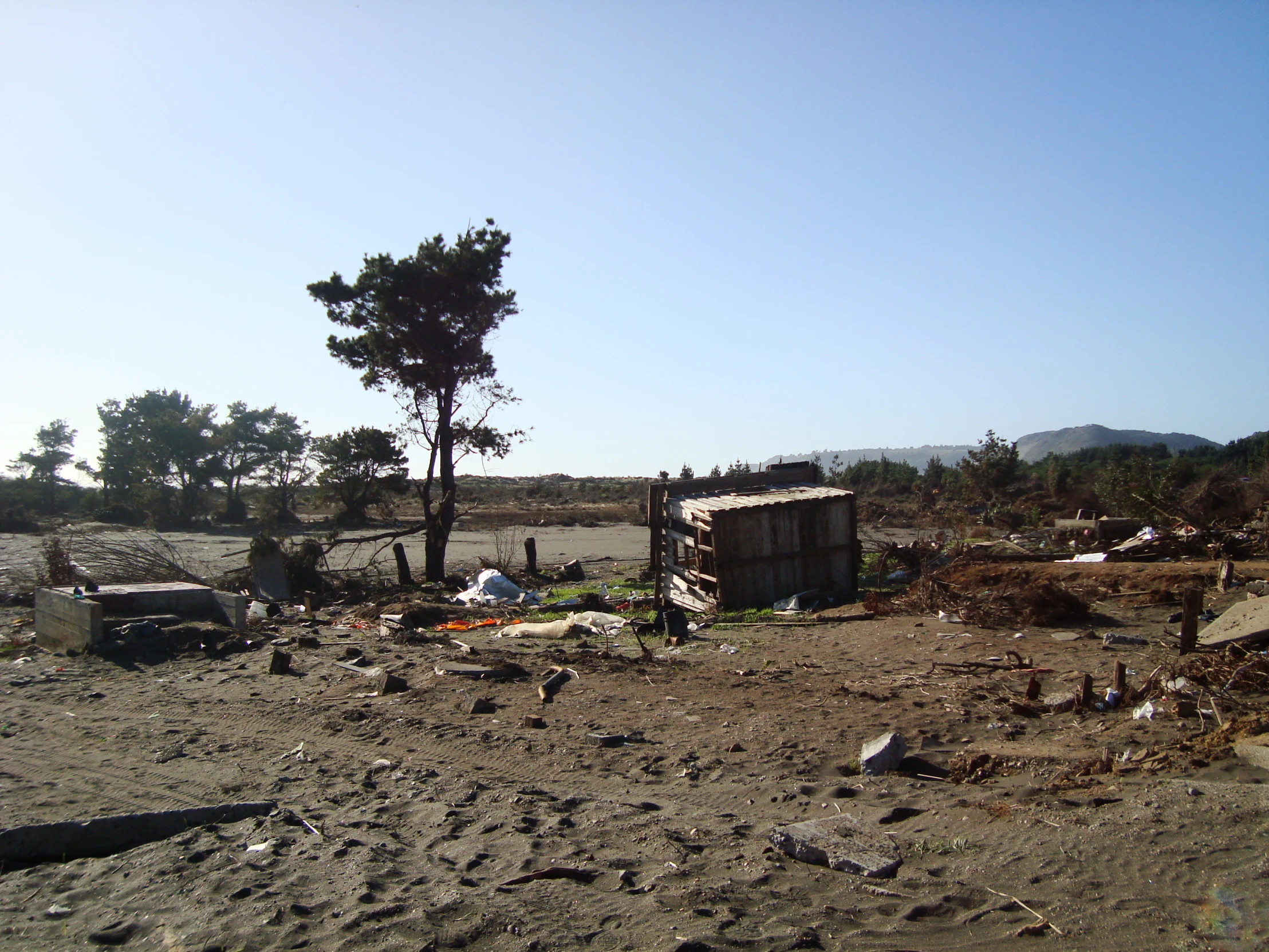 an abandoned village with various trees and rocks