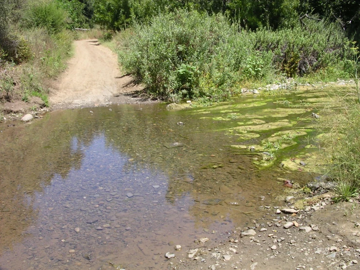 the road is not wide enough for traffic to cross