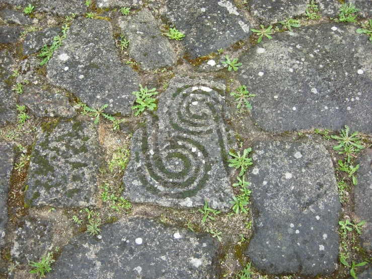 stones, grass, and rocks, with an spiral design on it