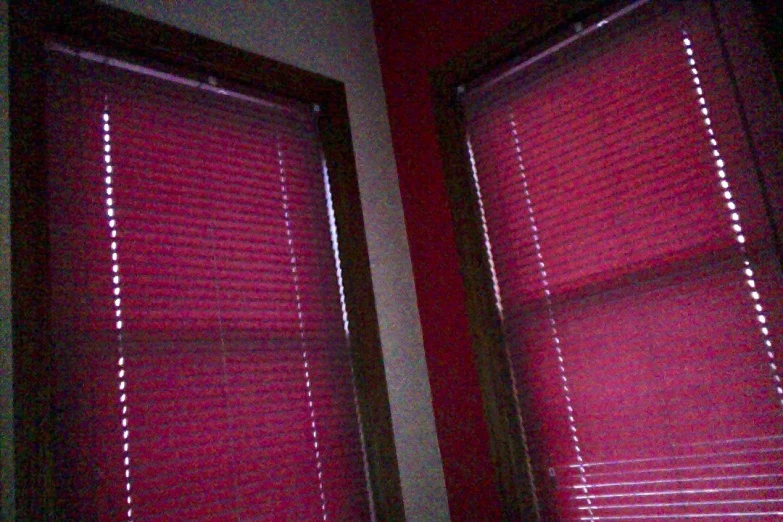 two windows with blind open and only the blinds open