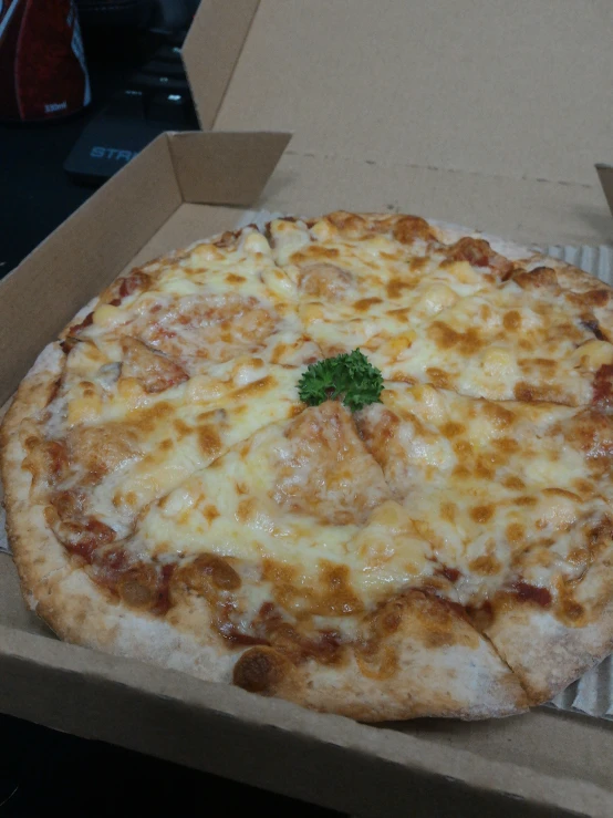 the homemade pizza is sitting in a box