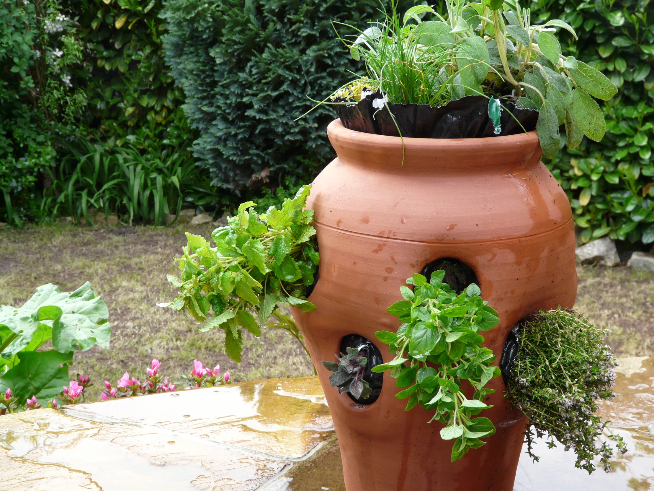 several potted plants on top of a large cement planter