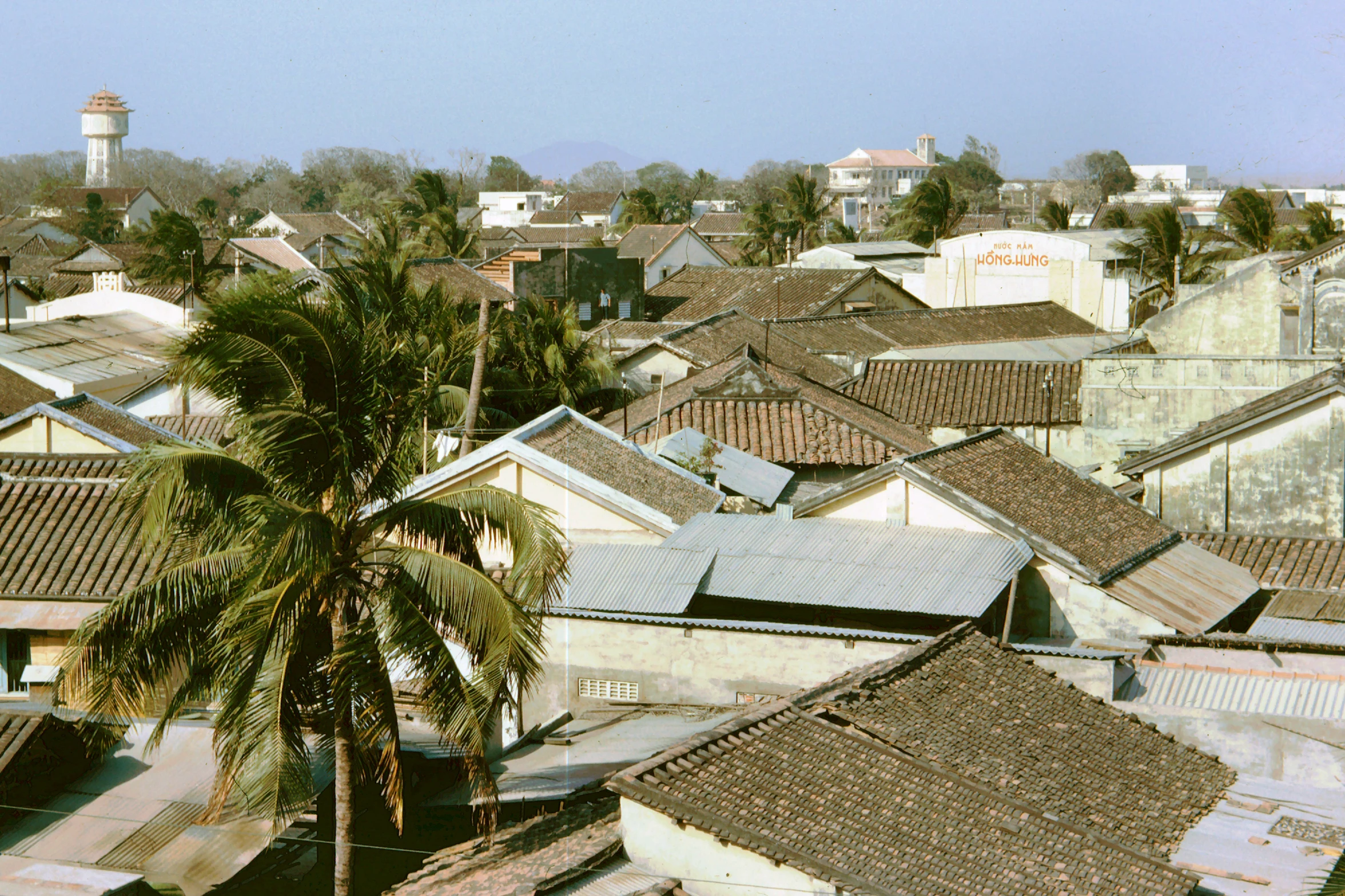 a city with many roofs and buildings, and a tree on top