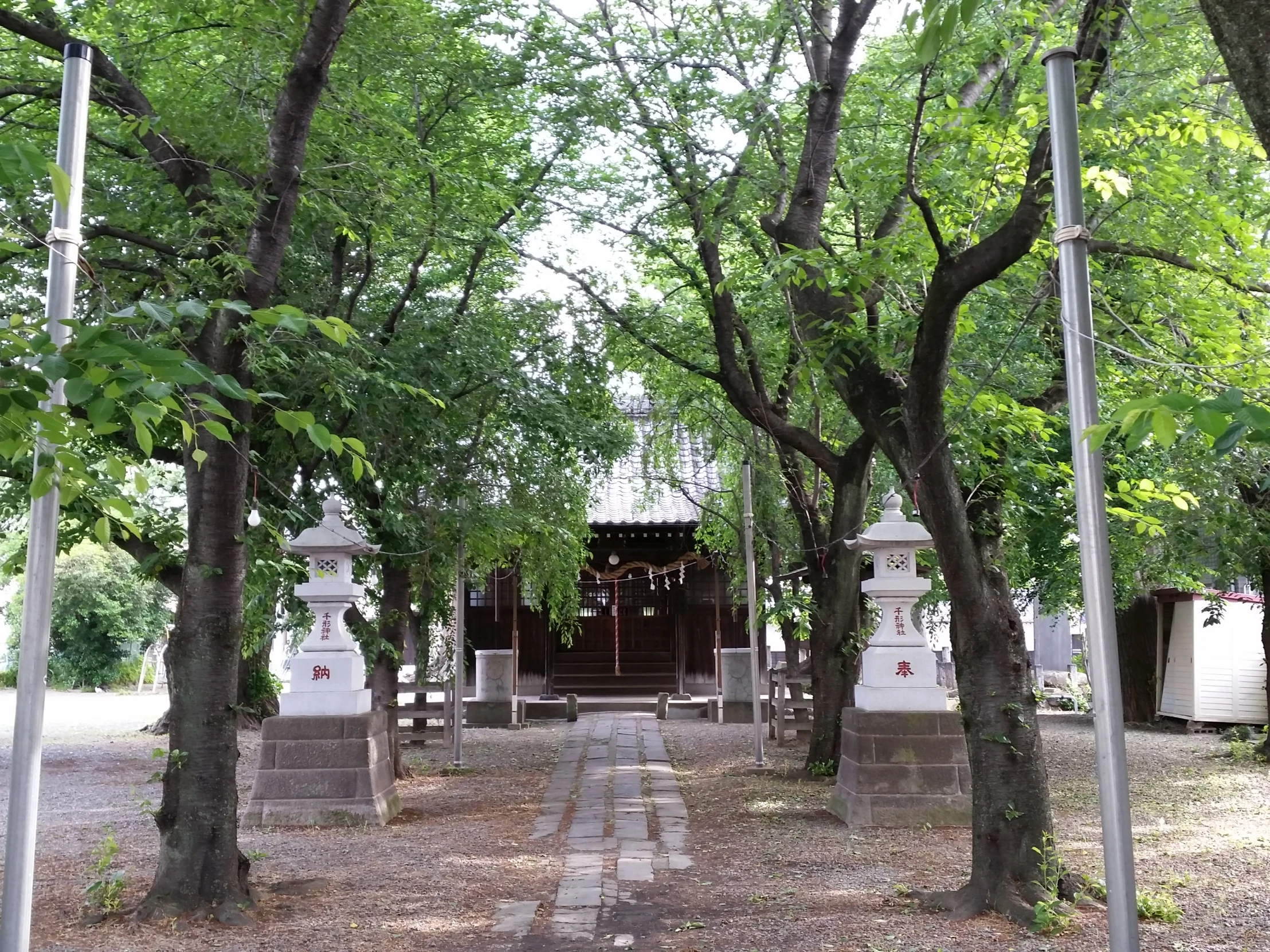 a gate that is leading into a park