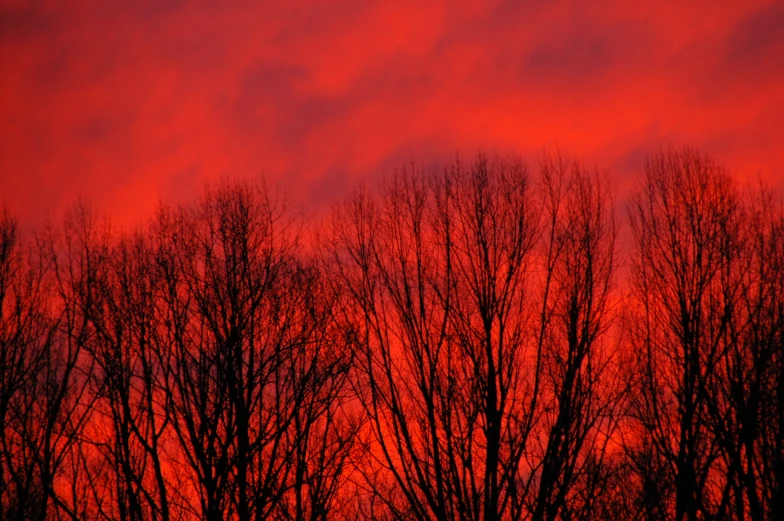 red sky with a few clouds and trees in silhouette