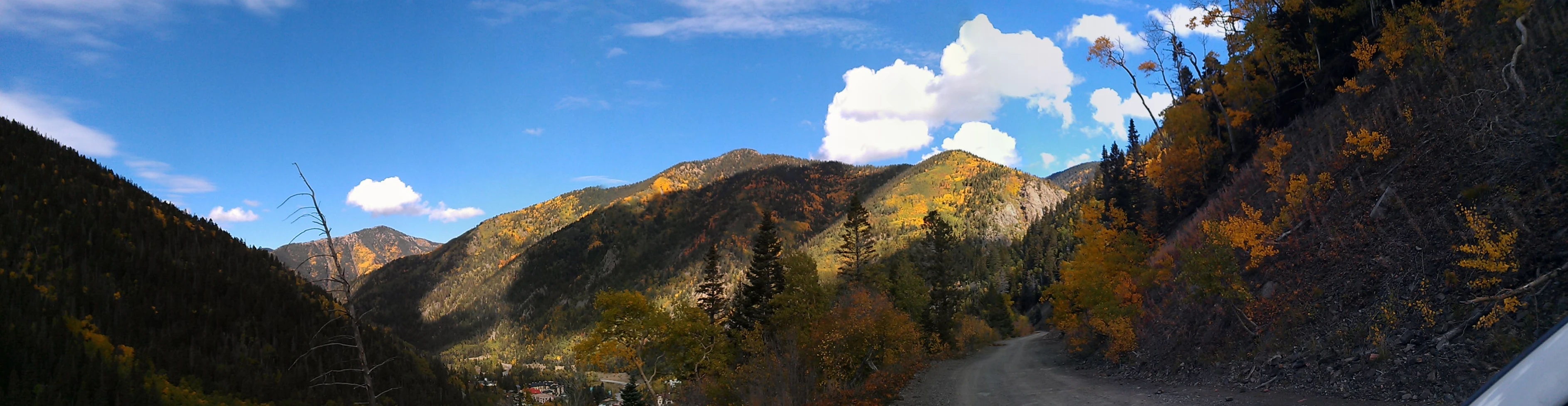 a mountain side with trees in the foreground