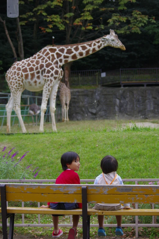 two little s sitting on a bench in front of a giraffe