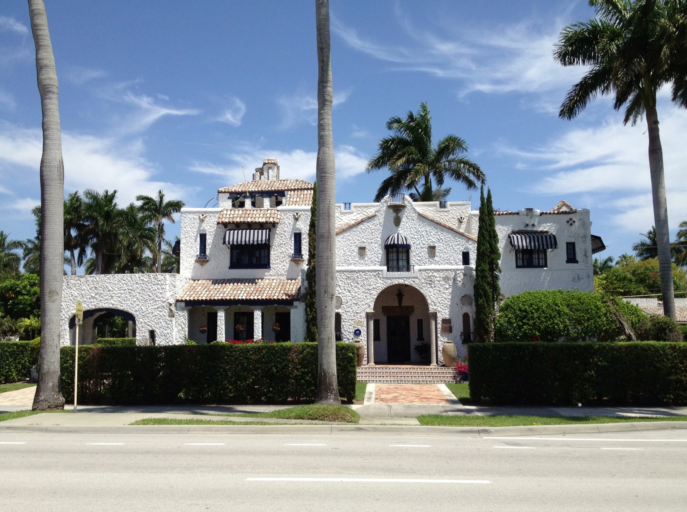 palm trees surrounding the street and side of a white building