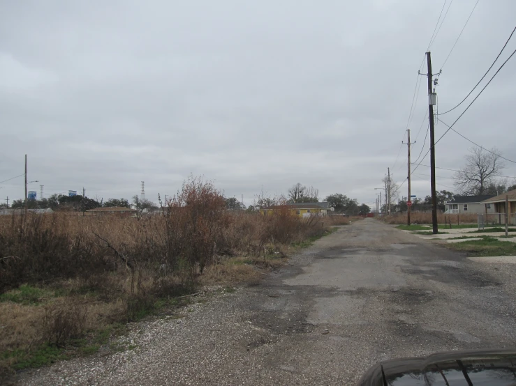 a dirt road with weeds on both sides and trees to the side