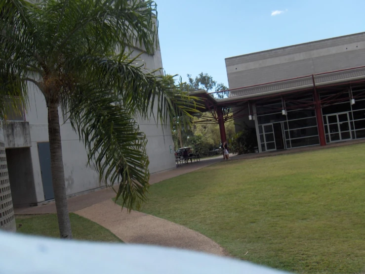 an image of a large building with palm trees in the yard