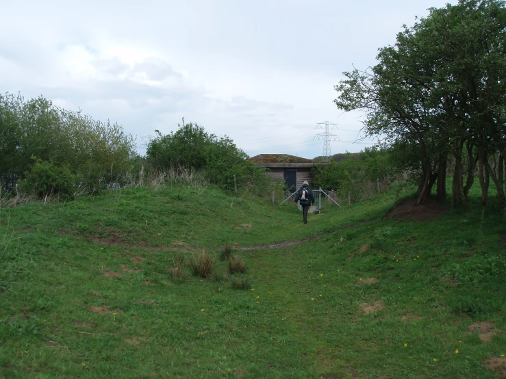 a person standing on a hill surrounded by trees