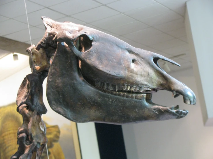 a bronze dinosaur head that is holding onto an object