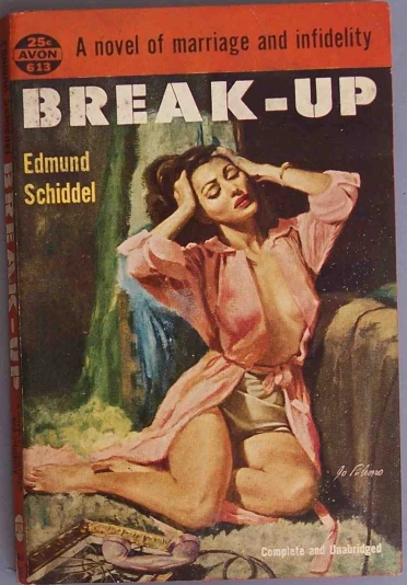 a book cover showing a woman in a lingerie, with the title, break - up