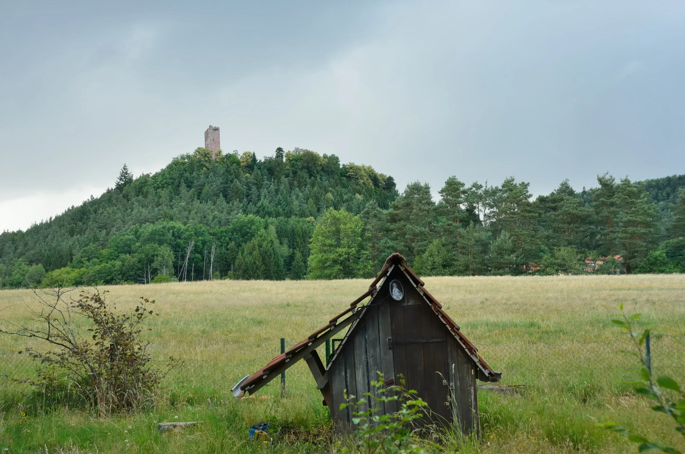 a brown shed that is standing in the grass