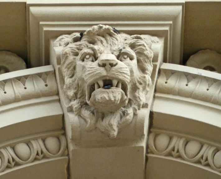 a lion's head on a wall between two arches