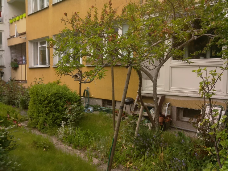 the garden is outside of an apartment building