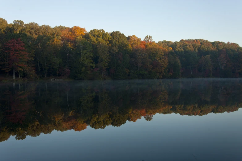 a forest covered in trees reflecting in the water