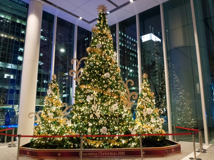 two large christmas trees in an area with glass windows