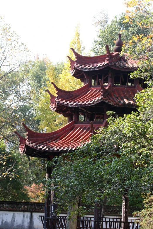 pagoda shaped building in the middle of a park