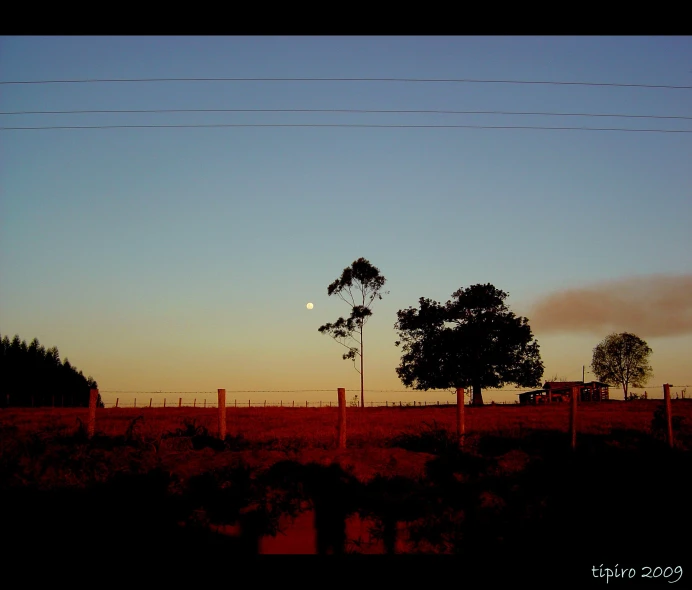 the setting sun is just visible from the horizon, as trees are silhouetted in a fenced field