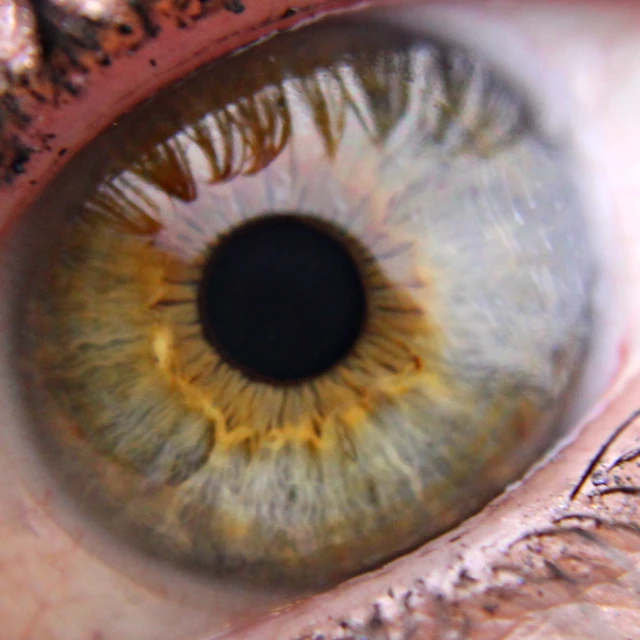 the iris of an eye looking to its right