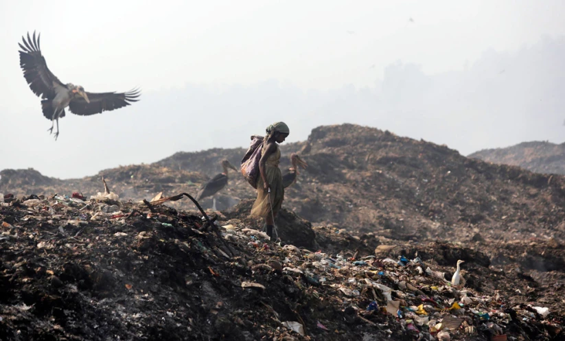 a man standing on top of a pile of garbage next to an eagle