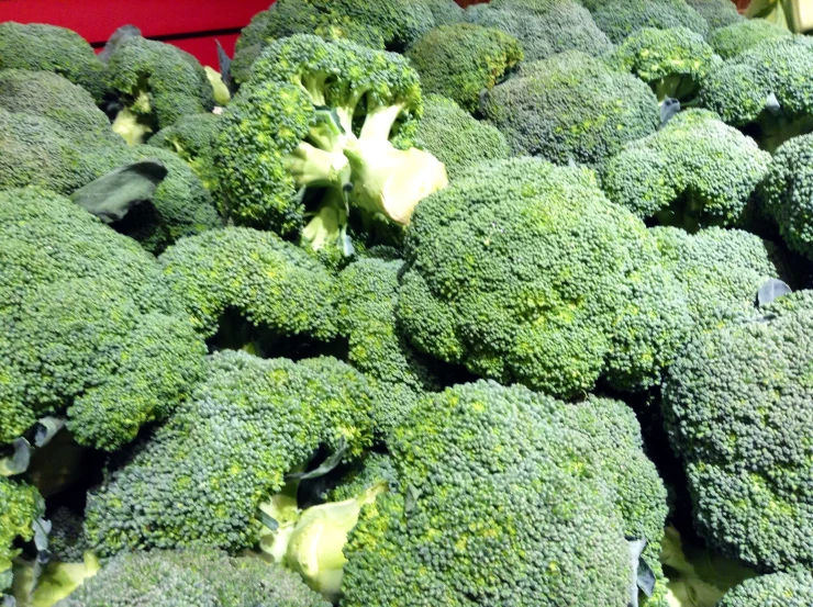 a group of fresh broccoli are in a large pile