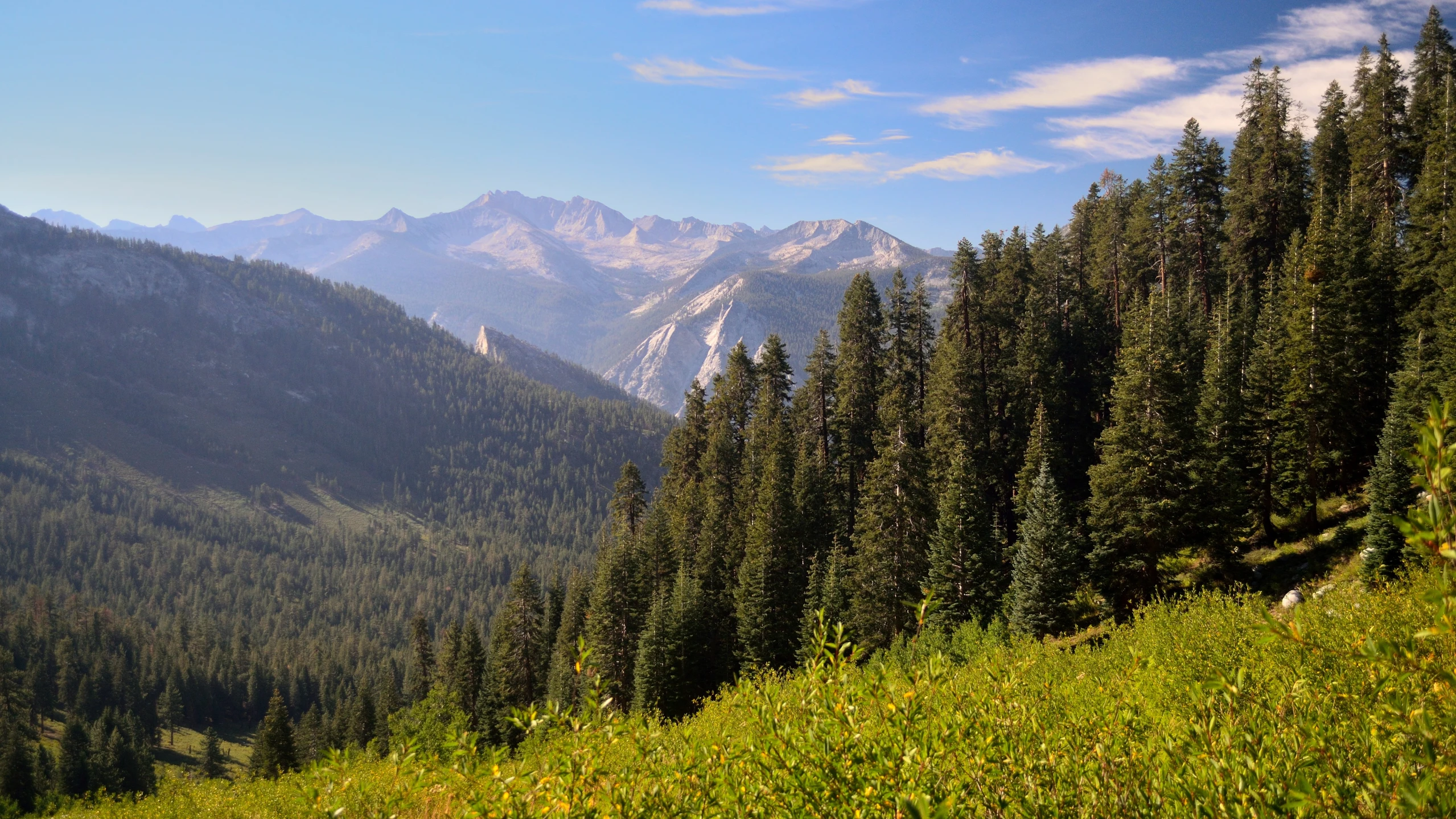 the green hills are very high up in the mountains