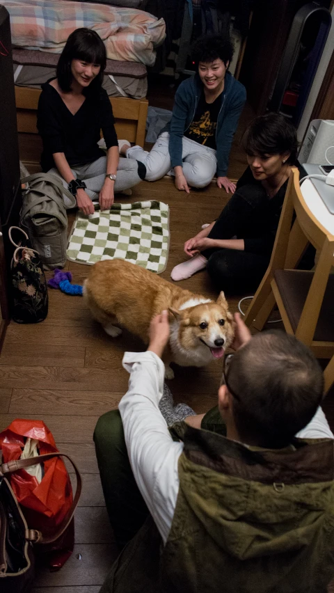 a group of people sitting around playing chess with their dog