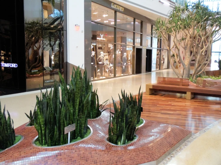 an empty building with many green plants on the walkway