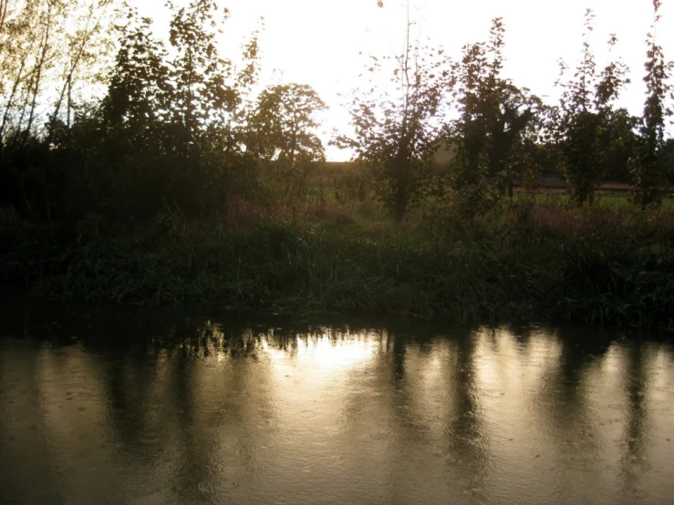 a calm river at sunset with trees in the background